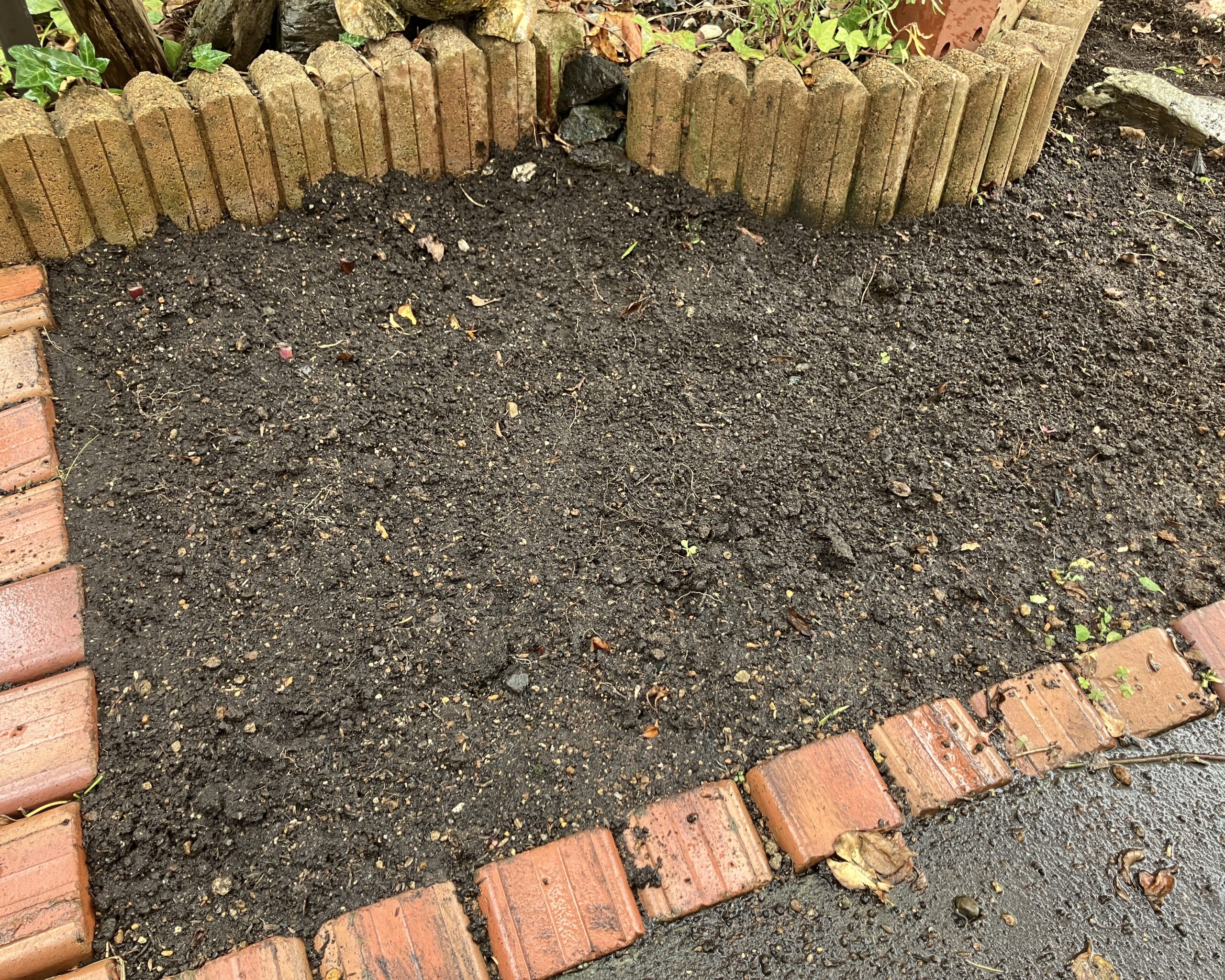 ～我が家の庭 復活計画～ 来春に向けて