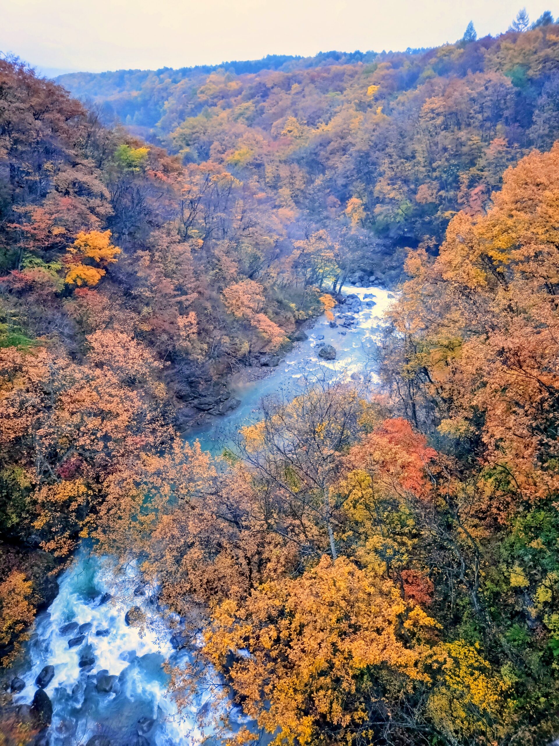 盛岡の家造り社長のつぶやき